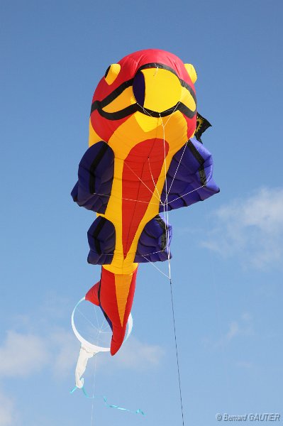 Festival Cerfs Volants Chatelaillon 2010_013.jpg
